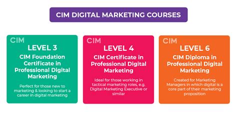 level 3 digital marketing qualification.